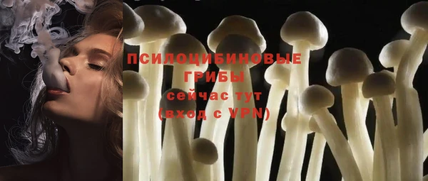гашик Баксан