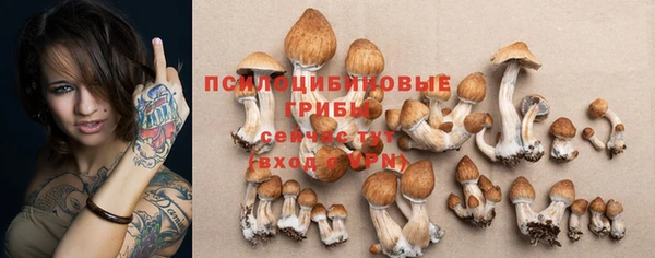 соль ск Белокуриха