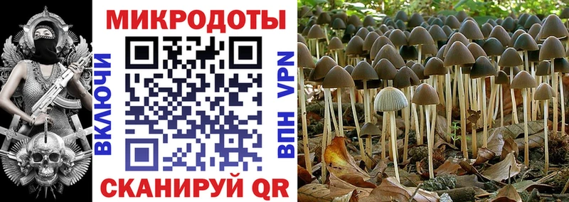 Купить закладки  Свободный  Галлюциногенные грибы Psilocybine cubensis 